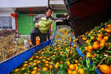 3 млн тонн сельхозпродукции в Китае пропало на складах из-за вируса